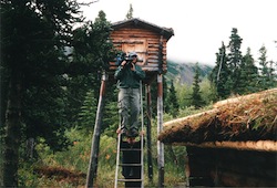 Wilderness cameraman on location is Alaska.